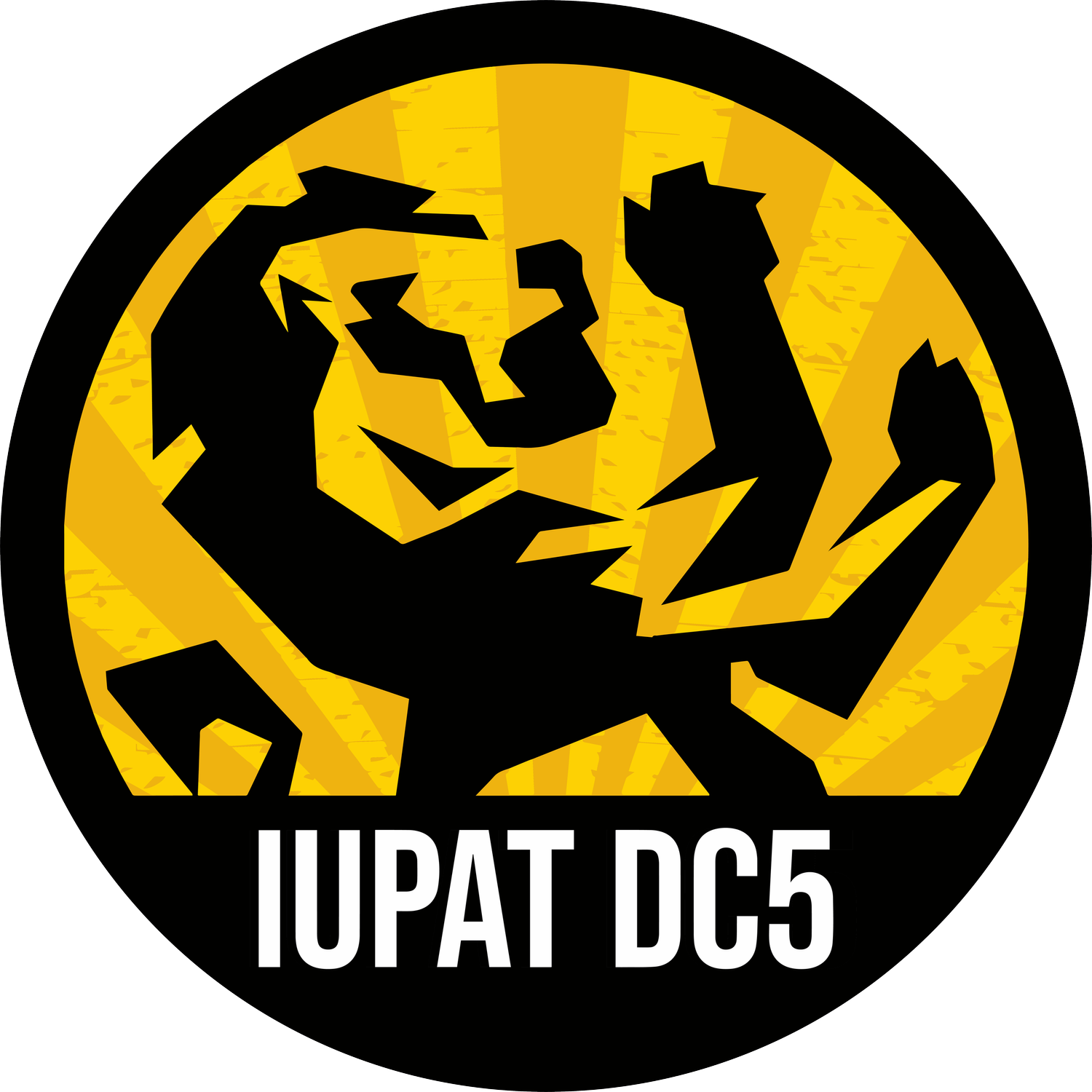 11 - IUPAT_DC5A